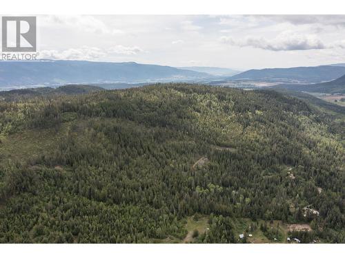 1415 Mallory Road, Enderby, BC - Outdoor With View