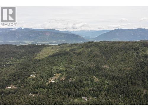 1415 Mallory Road, Enderby, BC - Outdoor With View