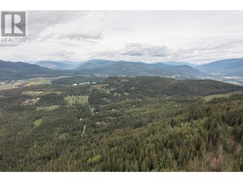 1415 Mallory Road, Enderby, BC - Outdoor With View