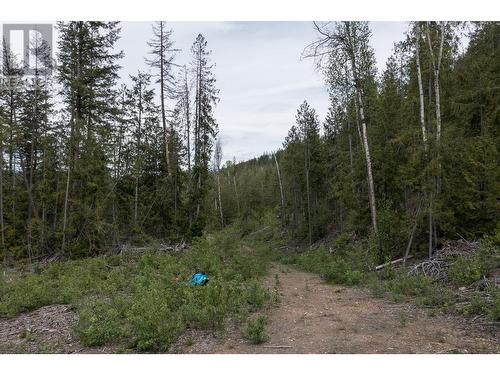 1415 Mallory Road, Enderby, BC - Outdoor With View