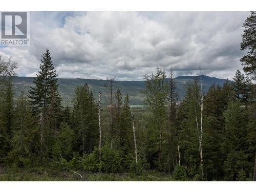 1415 Mallory Road, Enderby, BC - Outdoor With View