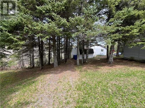 16 Boschert Road, Saint-Quentin, NB - Outdoor