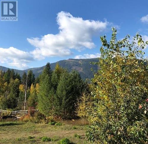 344 Schwartz Road, Lumby, BC - Outdoor With View