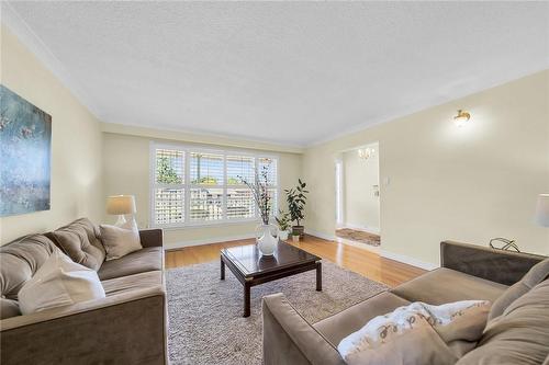41 Juanita Drive, Hamilton, ON - Indoor Photo Showing Living Room