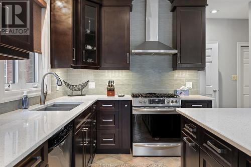 958 Pavan, Windsor, ON - Indoor Photo Showing Kitchen With Double Sink With Upgraded Kitchen