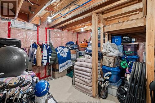 958 Pavan, Windsor, ON - Indoor Photo Showing Basement