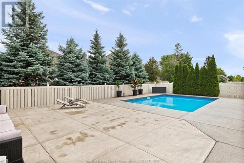 958 Pavan, Windsor, ON - Outdoor With In Ground Pool