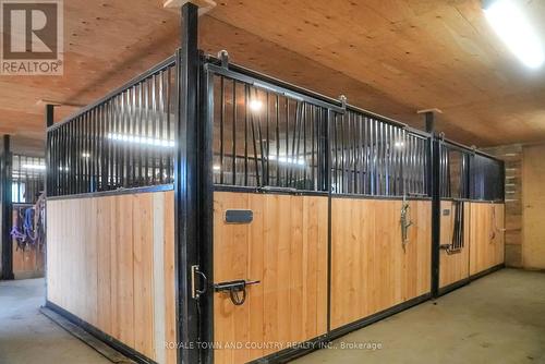 2435 Elm Tree Road, Kawartha Lakes, ON - Indoor Photo Showing Other Room