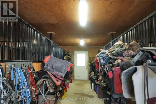 2435 Elm Tree Road, Kawartha Lakes, ON - Indoor With Storage