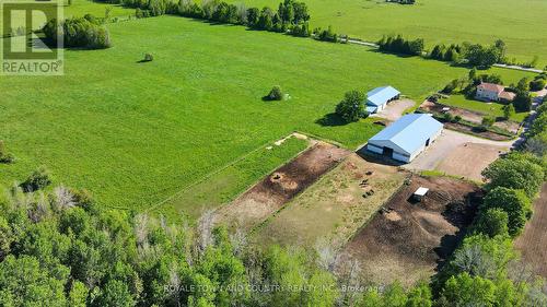 2435 Elm Tree Road, Kawartha Lakes, ON - Outdoor With View