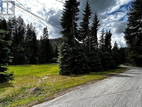 Lot B Webb Road, South Slocan, BC 