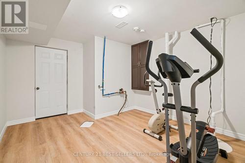 12 Riesling Court, Hamilton, ON - Indoor Photo Showing Gym Room