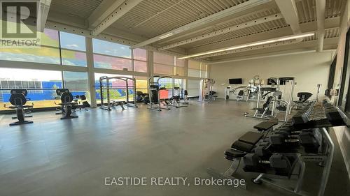 810 - 15 Singer Court, Toronto, ON - Indoor Photo Showing Gym Room