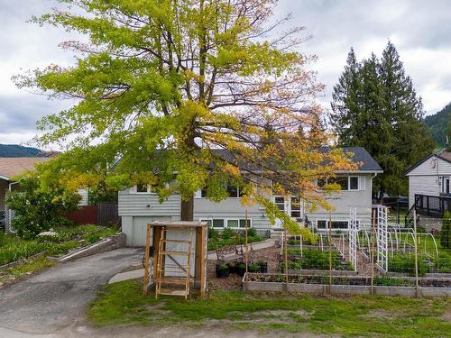 229 Birch Street, Chase, BC - Outdoor