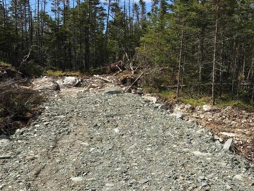 Lot 20-1 No 7 Highway, Ecum Secum, NS 