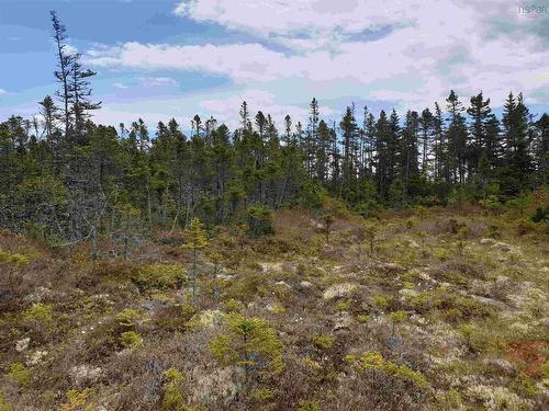 Lot 20-1 No 7 Highway, Ecum Secum, NS 