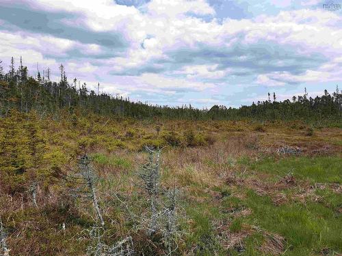 Lot 20-1 No 7 Highway, Ecum Secum, NS 