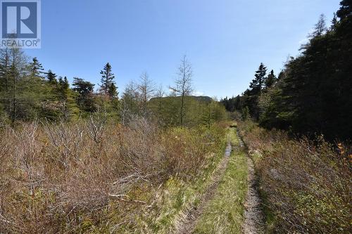 1-25 Barron'S Road, Holyrood, NL 