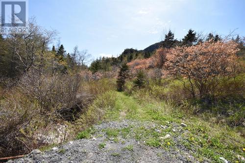 1-25 Barron'S Road, Holyrood, NL 