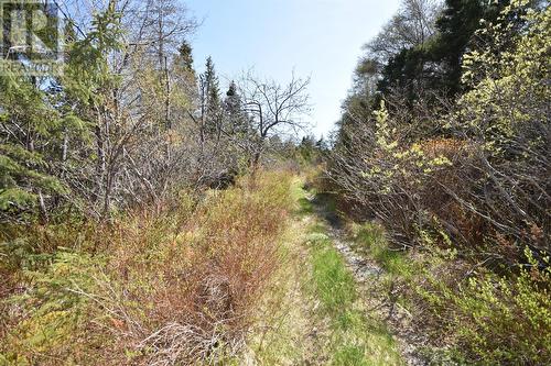 1-25 Barron'S Road, Holyrood, NL 