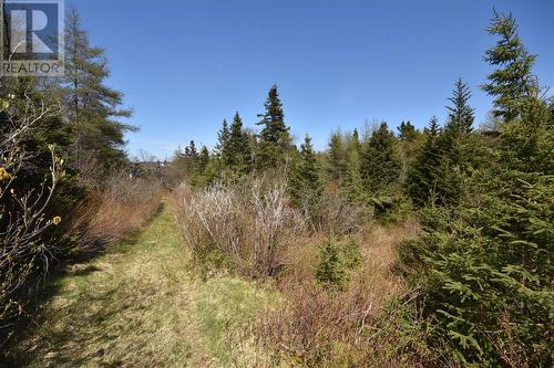 1-25 Barron'S Road, Holyrood, NL 