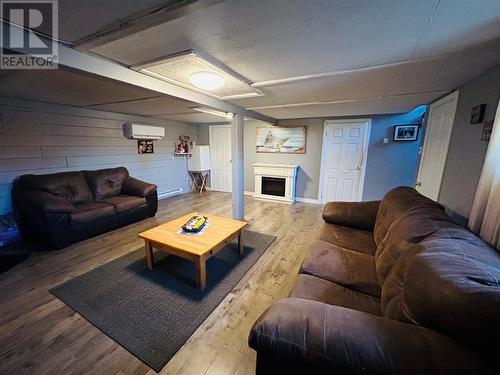 145 Main Street, Point Leamington, NL - Indoor Photo Showing Living Room