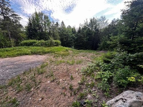 Land/Lot - Rue Des Bouleaux, Morin-Heights, QC 