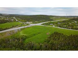 217 Indian Meal Line  Torbay, NL A1K 1G3