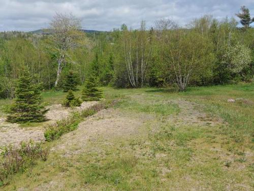 Lot 3A 9384 Highway 4, French River, NS 