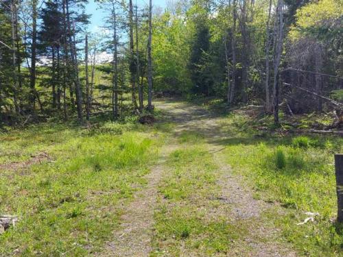 Lot 3A 9384 Highway 4, French River, NS 