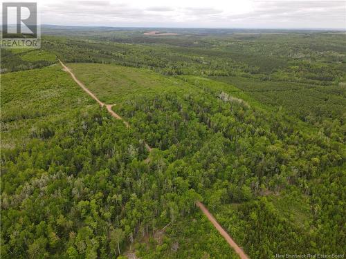 Lot Cemetery Road, Whites Mountain, NB 