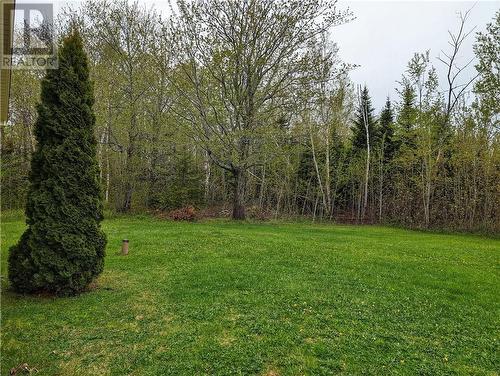 749 Acadie, Grande-Anse, NB - Outdoor