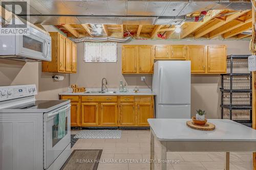 803 Hemlock Street, Peterborough, ON - Indoor Photo Showing Kitchen With Double Sink