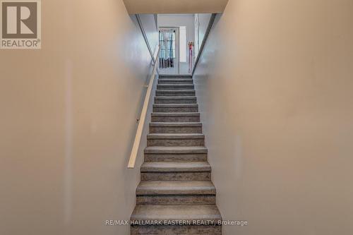 803 Hemlock Street, Peterborough, ON - Indoor Photo Showing Other Room