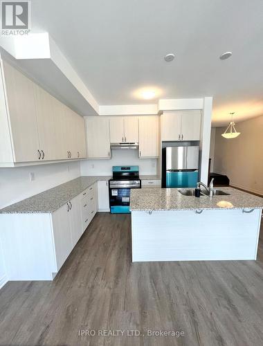 1893 Thames Circle, Milton, ON - Indoor Photo Showing Kitchen With Stainless Steel Kitchen With Double Sink