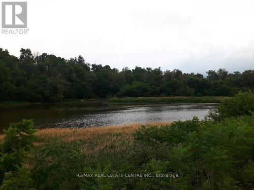 46 Bridge Street E, Kitchener, ON - Outdoor With Body Of Water With View