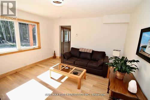 614 Pike Bay Road, Northern Bruce Peninsula, ON - Indoor Photo Showing Living Room