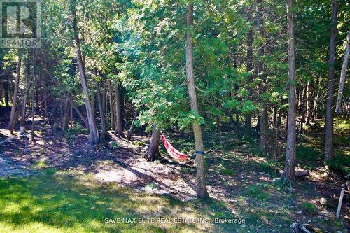 614 Pike Bay Road, Northern Bruce Peninsula, ON - Outdoor With View