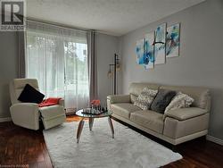 Living room with lots of natural light - 