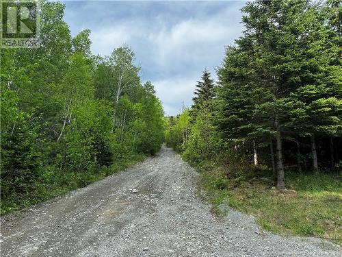 0 De L'Église Road, Lac Baker, NB 