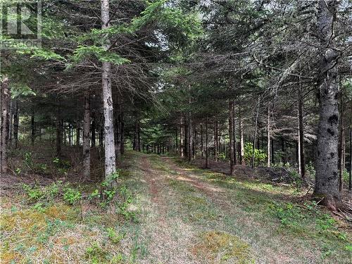 0 De L'Église Road, Lac Baker, NB 