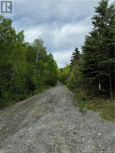 0 De L'Église Road, Lac Baker, NB 