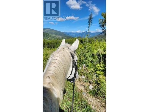 7960 3 Highway, Yahk, BC - Outdoor With View