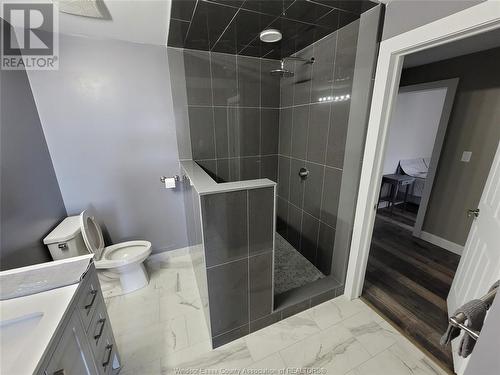 9939 Concession 9, Essex, ON - Indoor Photo Showing Bathroom