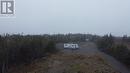 Lot 2 Rhodies Pond, Placentia Junction, NL 