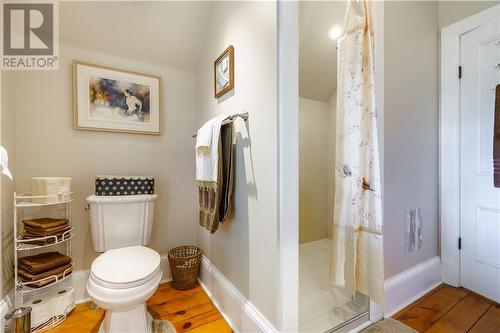 18990 18 County Road, Martintown, ON - Indoor Photo Showing Bathroom