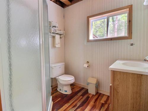 Salle de bains - Z Ch. Du Portage Tortue, Les Lacs-Du-Témiscamingue, QC - Indoor Photo Showing Bathroom