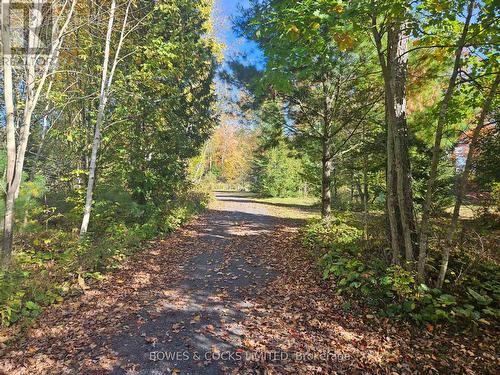 121 Fish Hook Lane, Marmora And Lake, ON - Outdoor With View