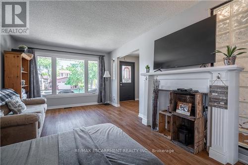 3 Novoco Drive, Hamilton, ON - Indoor Photo Showing Living Room With Fireplace