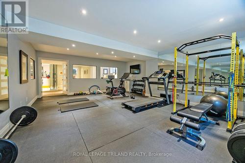 654 Hickorystick Key, London, ON - Indoor Photo Showing Gym Room